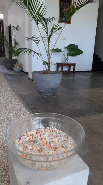 Akurala Beach Boutique Resort Luaran gambar