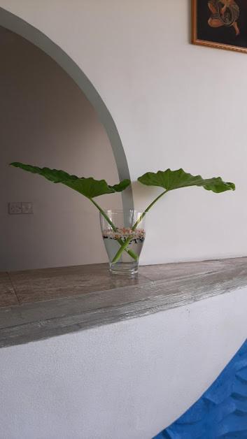 Akurala Beach Boutique Resort Luaran gambar