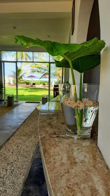 Akurala Beach Boutique Resort Luaran gambar